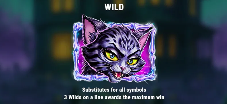 Cat n Rat Wild